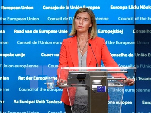 ЕС не планирует вводить санкции против РФ из-за Сирии - ảnh 1